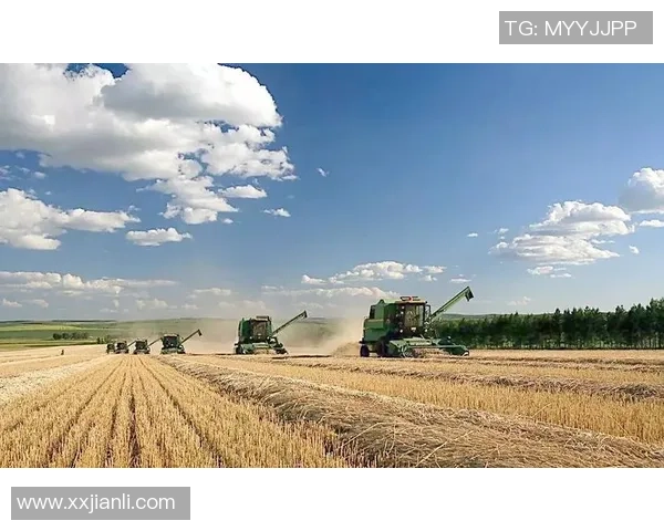 盐湖城与竞技队的全面对比分析及未来发展趋势探讨