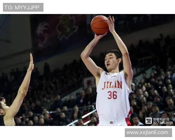 代怀博的成长之路与未来发展展望：从初创到行业领军者的蜕变历程