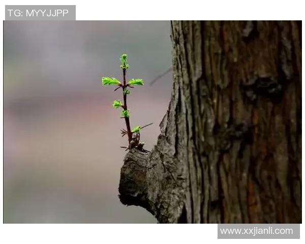 何思雨：在风雨中绽放的坚韧与希望的旅程