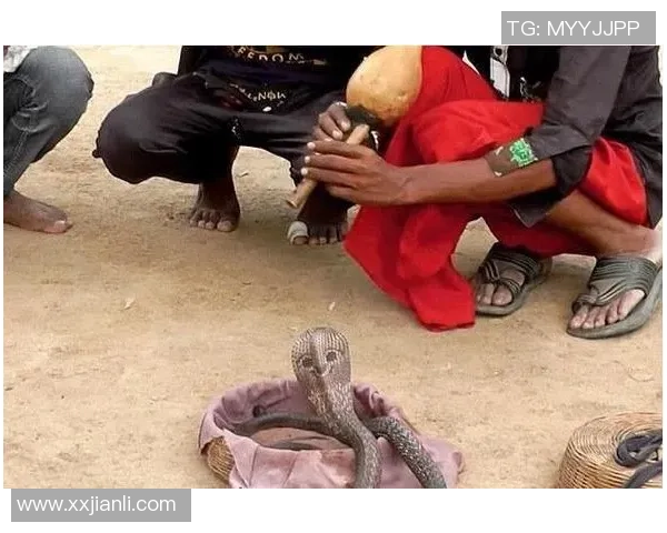 克鲁与布莱克本激战正酣谁能在这场较量中笑到最后