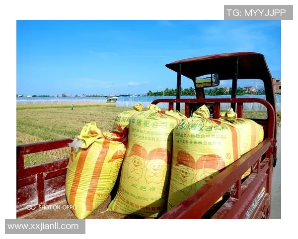 弗格的传奇人生与时代变迁的交织探索