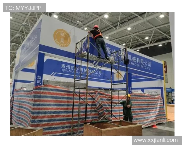 杨强专访揭秘排球成功背后的秘诀与团队精神